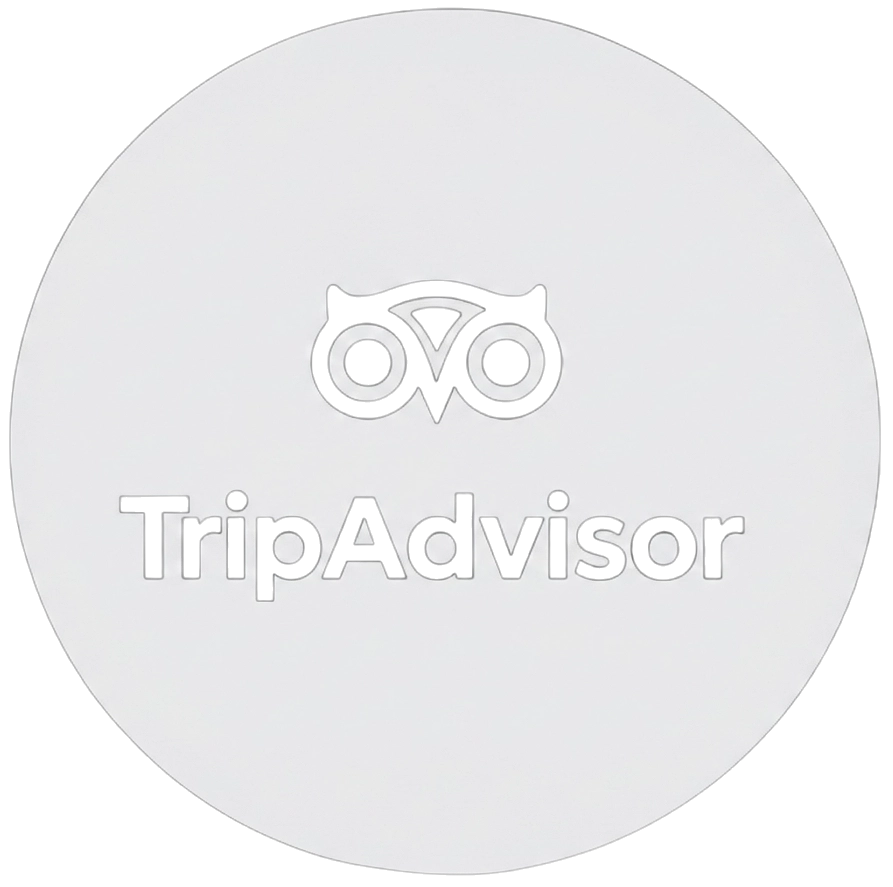 TripAdvisor Reviews